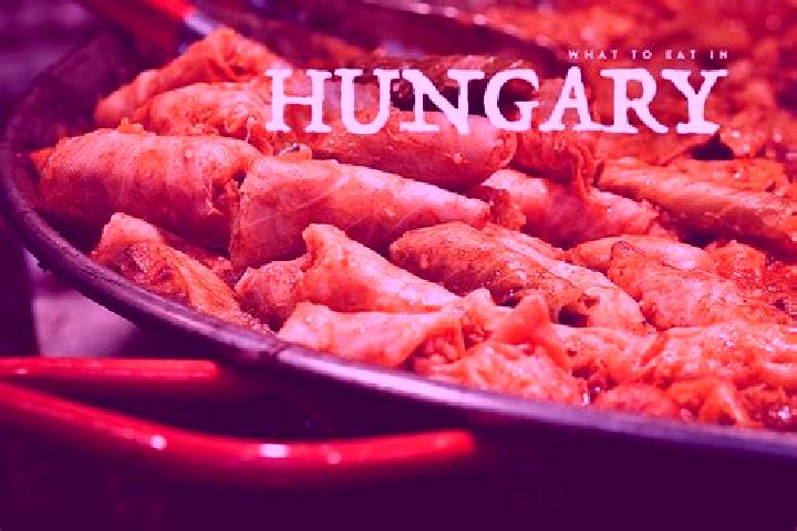 Escorts Se, Hungary — Local Companions