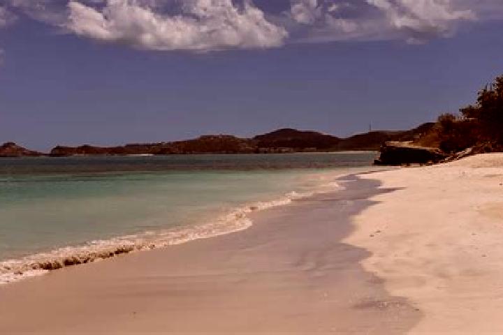 Escorts Sea View Farm, Antigua and Barbuda — Local Companions