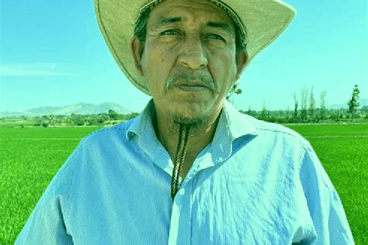 Escorts Sebampo, Mexico — Local Companions