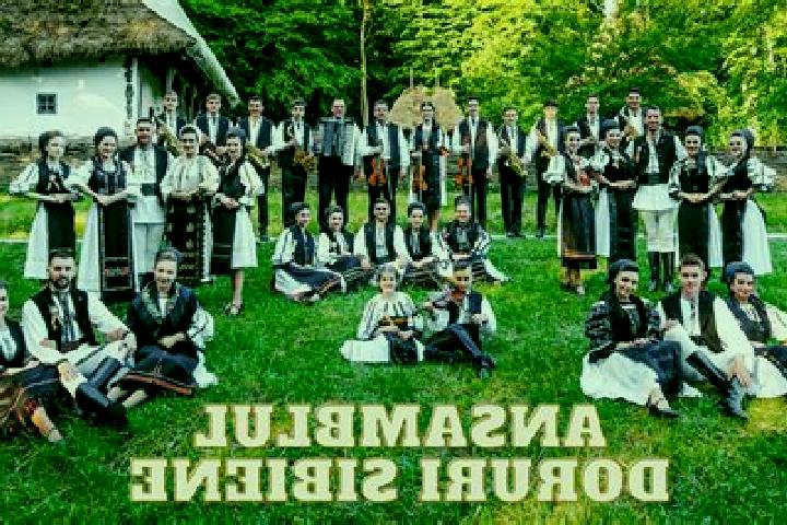 Escorts Sebesu de Jos, Romania — Local Companions