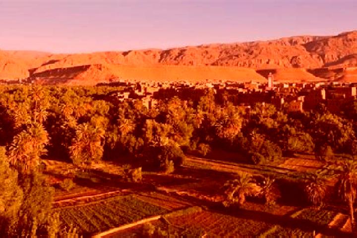 Escorts Sebt Bni Garfett, Morocco — Local Companions