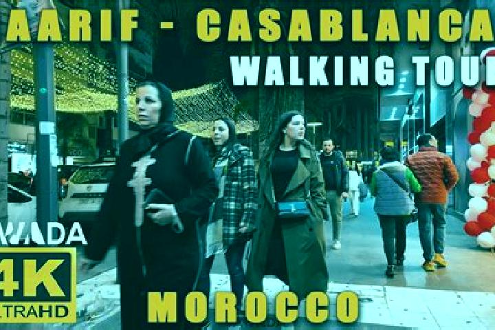 Escorts Sebt El Maarif, Morocco — Local Companions