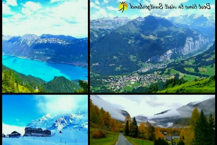 Escorts Seftigen, Switzerland — Local Companions