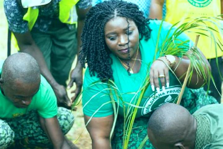 Escorts Sefwi Wiawso, Ghana — Local Companions