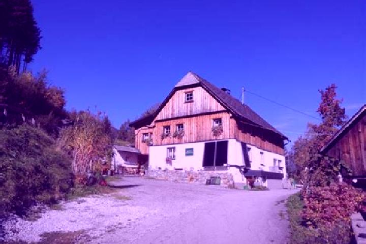 Escorts Selzthal, Austria — Local Companions