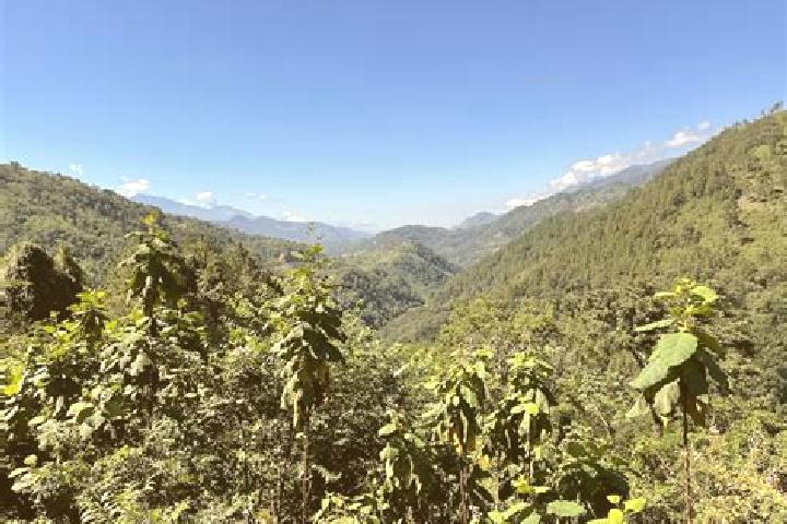 Escorts Senahu, Guatemala — Local Companions