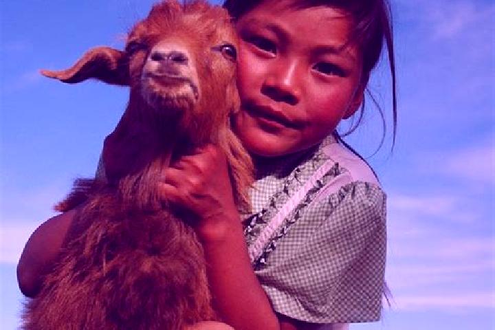 Escorts Sergelen, Mongolia — Local Companions
