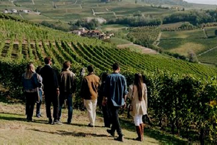 Escorts Serravalle Langhe, Italy — Local Companions