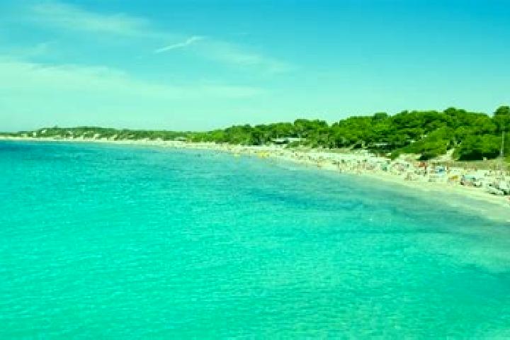 Escorts Ses Salines, Spain — Local Companions