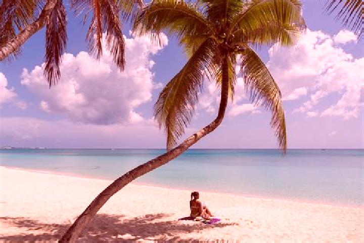 Escorts Seven Miles, Cayman Islands — Local Companions