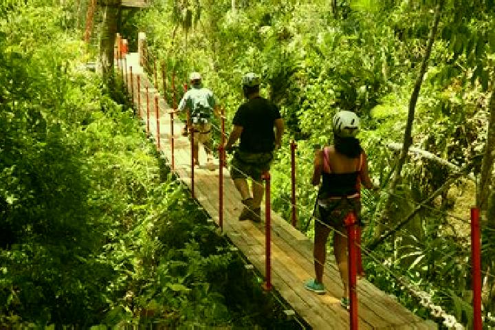 Escorts Seven Miles El Progresso, Belize — Local Companions