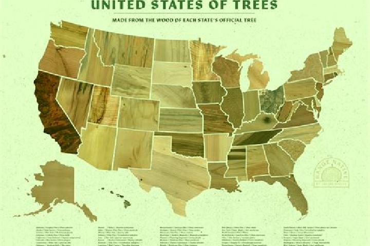 Escorts Seven Trees, United States — Local Companions