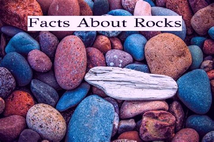 Escorts Seventeen Mile Rocks, Australia — Local Companions