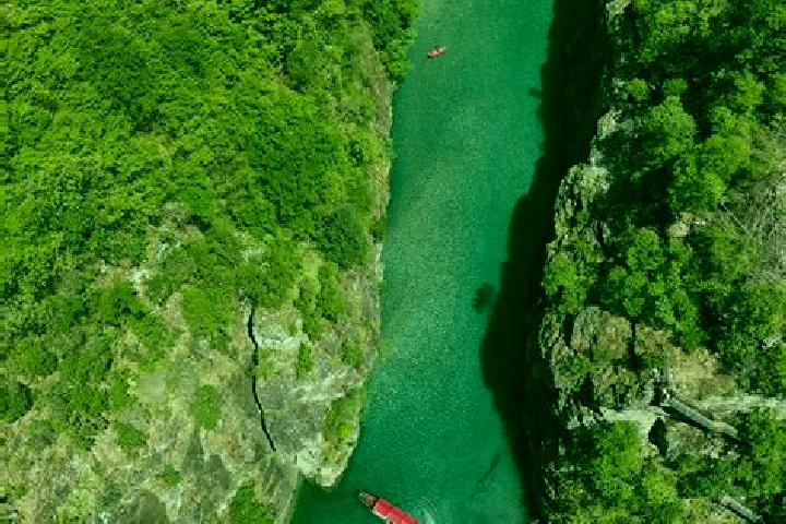 Escorts Shales, Albania — Local Companions