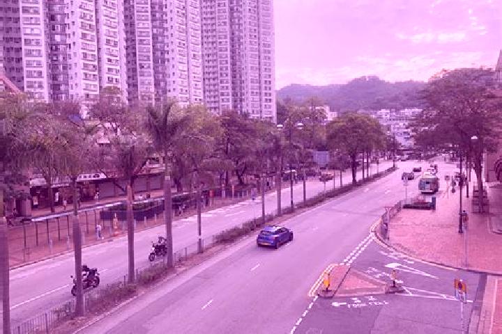 Escorts Sham Tseng, Hong Kong — Local Companions