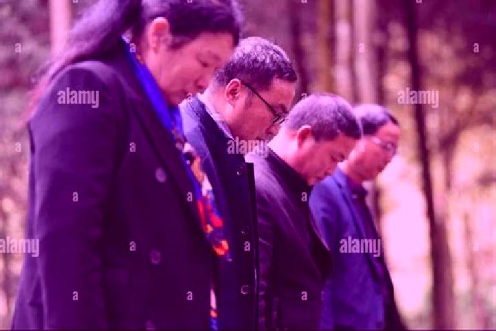 Escorts Shangcheng, China — Local Companions