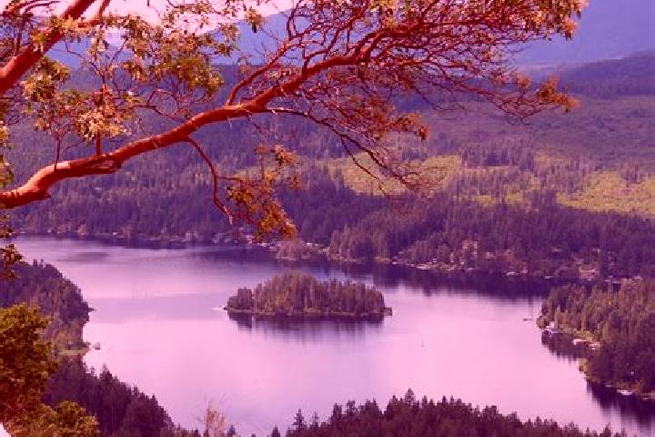Escorts Shawnigan Lake, Canada — Local Companions