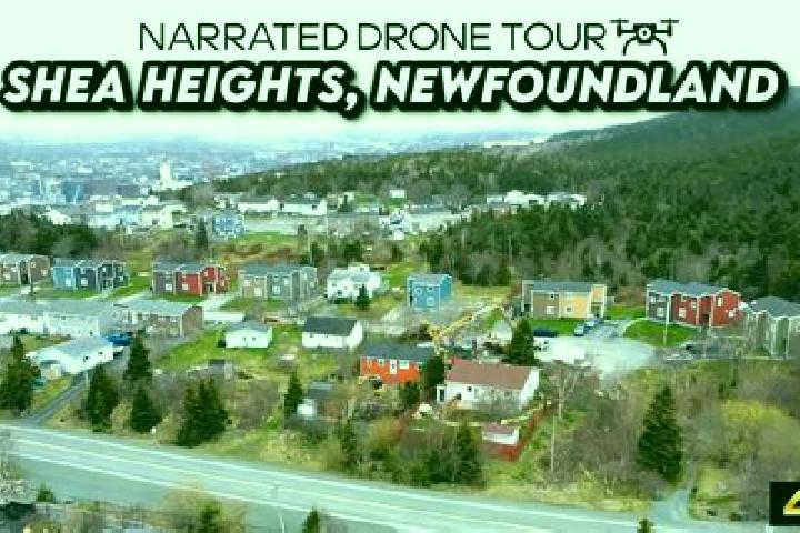 Escorts Shea Heights, Canada — Local Companions