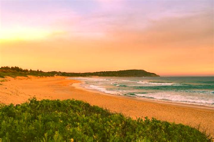 Escorts Shelly Beach, Australia — Local Companions