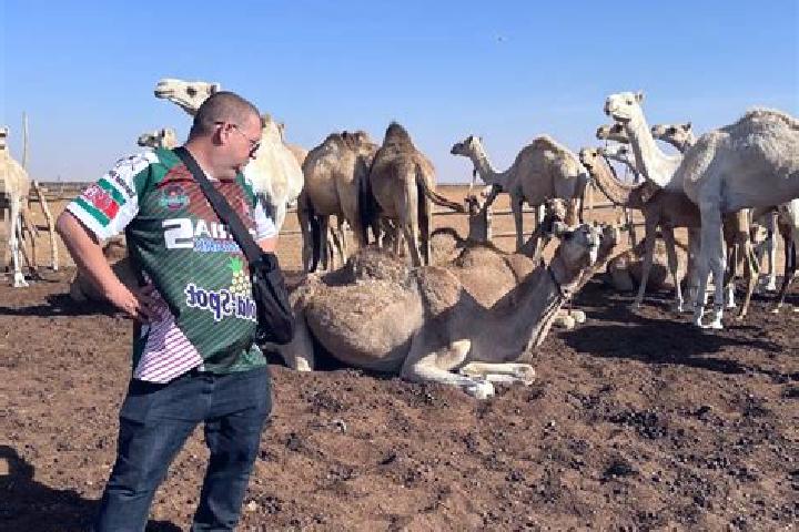 Escorts Shendi, Sudan — Local Companions