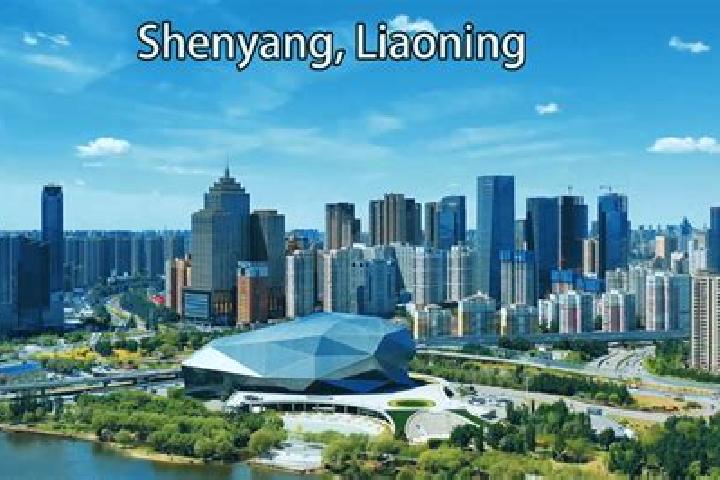 Escorts Shengang, China — Local Companions