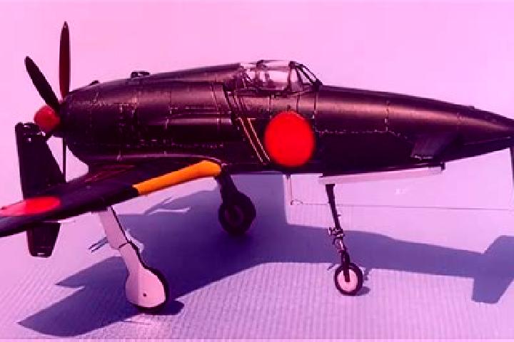 Escorts Shinden, Japan — Local Companions