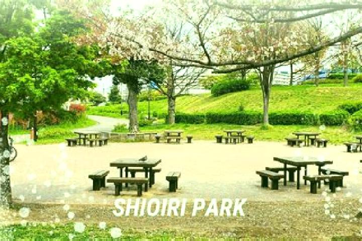Escorts Shioiri, Japan — Local Companions