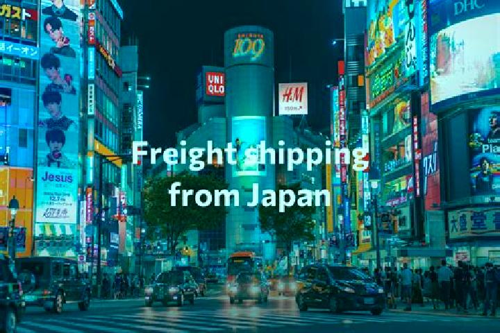 Escorts Shiozawa, Japan — Local Companions