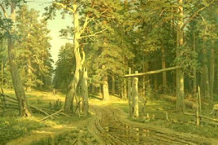 Escorts Shishkin Les, Russia — Local Companions