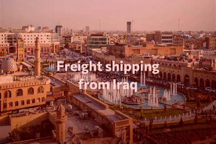 Escorts Shurash, Iraq — Local Companions