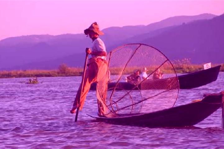 Escorts Shwebo, Myanmar — Local Companions