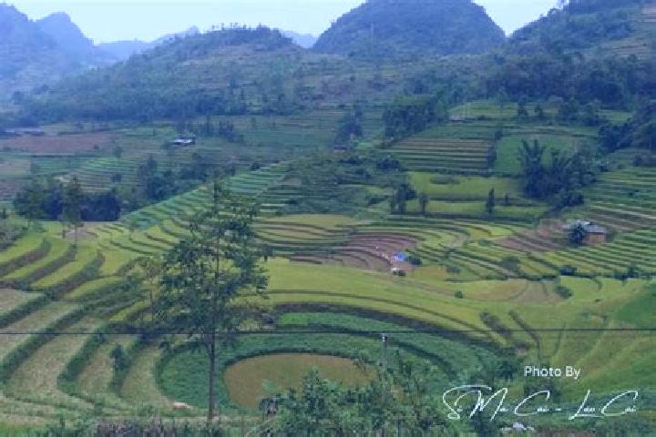Escorts Si Ma Cai, Vietnam — Local Companions