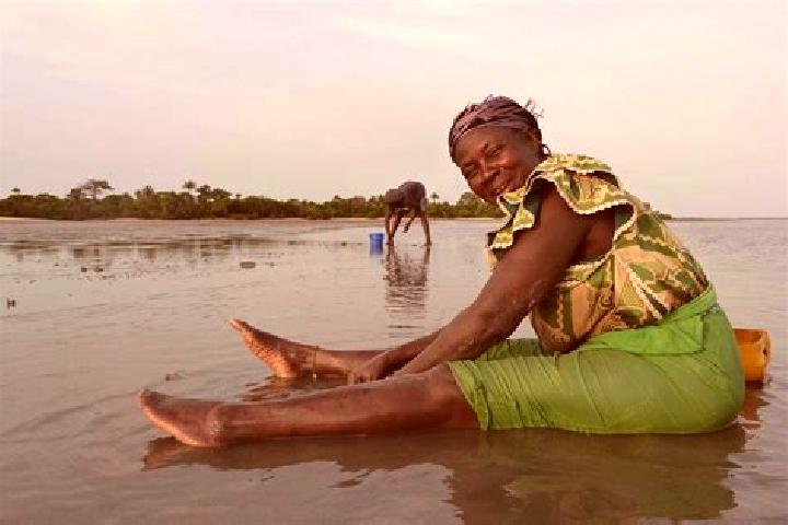 Escorts Sibito, Gambia — Local Companions