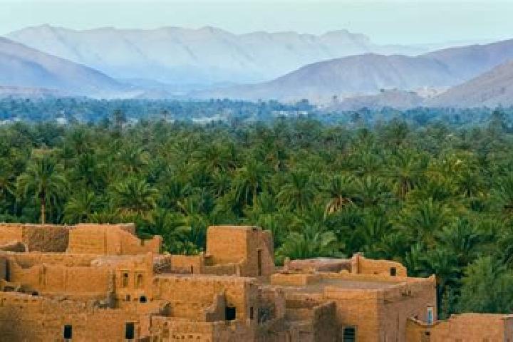 Escorts Sidi Allal Tazi, Morocco — Local Companions
