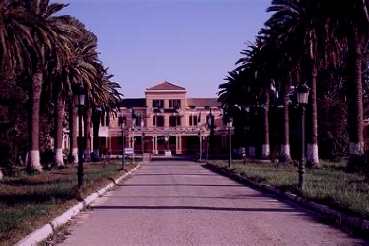 Escorts Sidi Bel Abbes, Algeria — Local Companions