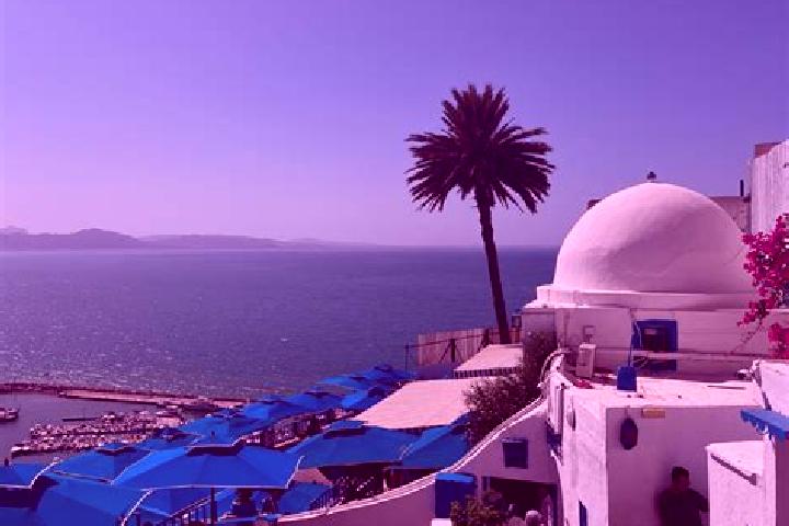 Escorts Sidi Bou Ali, Tunisia — Local Companions