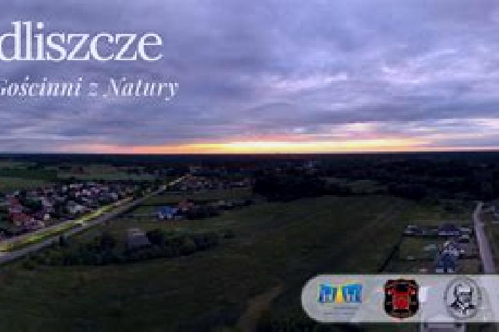 Escorts Siedliszcze, Poland — Local Companions