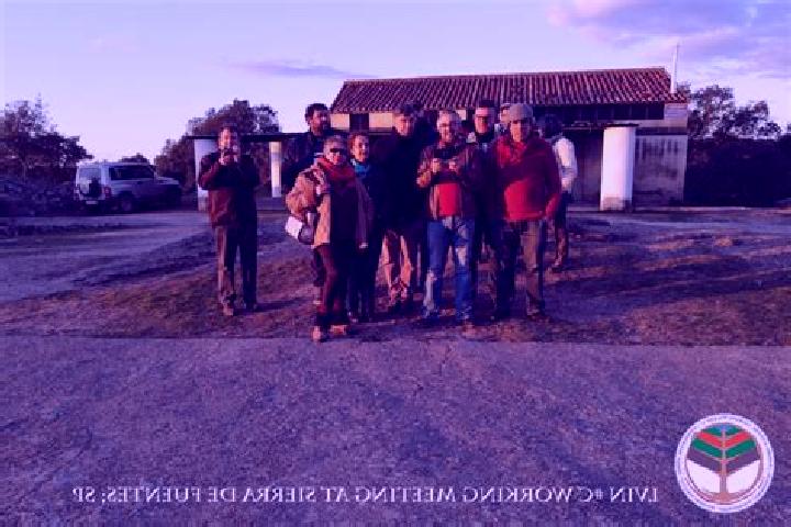 Escorts Sierra de Fuentes, Spain — Local Companions