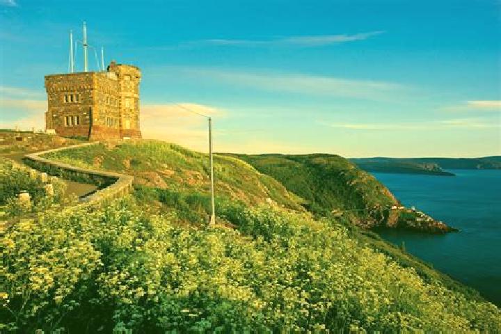 Escorts Signal Hill, Canada — Local Companions