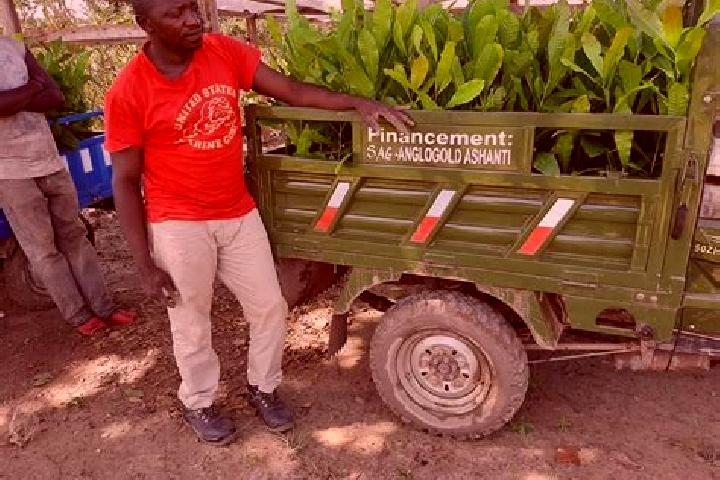 Escorts Siguiri, Guinea — Local Companions