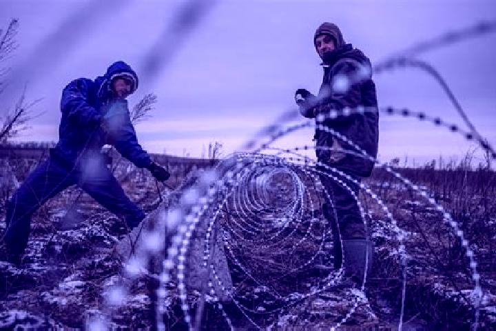 Escorts Sil, Ukraine — Local Companions