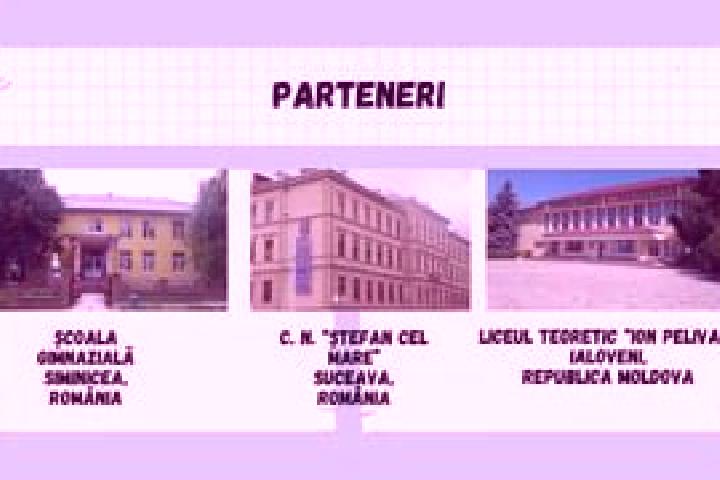 Escorts Siminicea, Romania — Local Companions