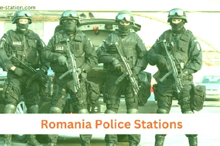 Escorts Simisna, Romania — Local Companions