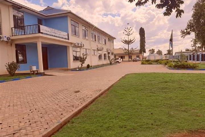 Escorts Singida, Tanzania — Local Companions