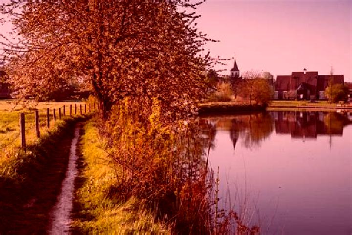 Escorts Sint-Martens-Latem, Belgium — Local Companions