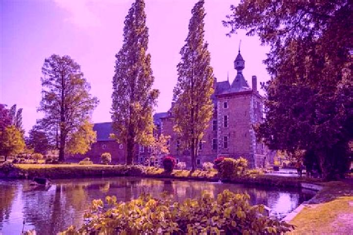 Escorts Sint-Pieters-Voeren, Belgium — Local Companions
