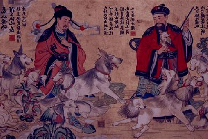 Escorts Siqian, China — Local Companions