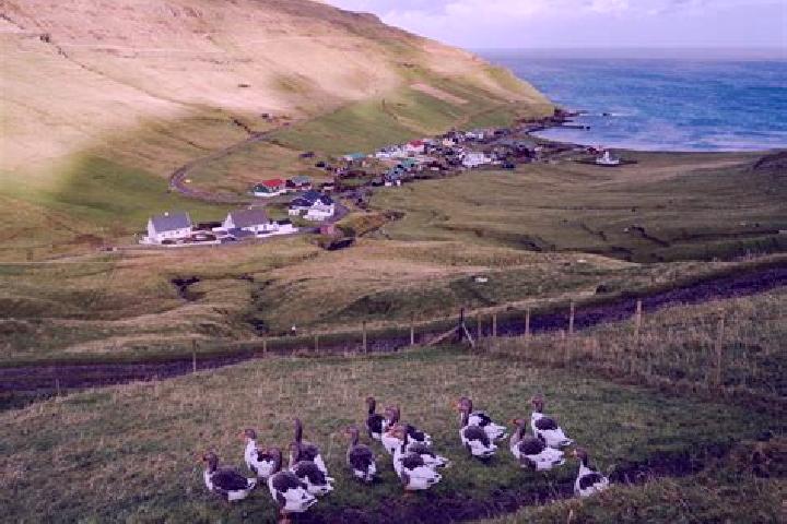 Escorts Skali, Faroe Islands — Local Companions