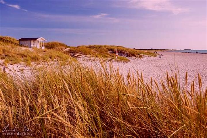 Escorts Skanoer med Falsterbo, Sweden — Local Companions