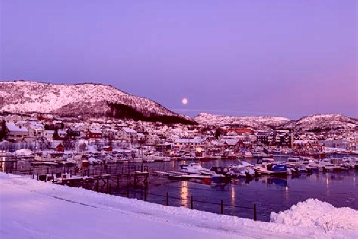 Escorts Skjervoy, Norway — Local Companions